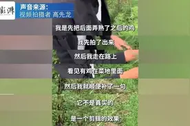 “毕业论文被鸡吃了”冲上热搜！当事人回应图片