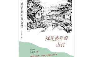 「好书推荐」读《鲜花盛开的山村》：耕耘在希望的田野上图片