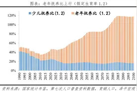 中国老龄化研究报告图片