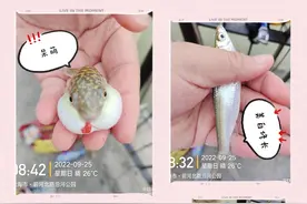 「新型线组」持续测试，依然完好如此图片