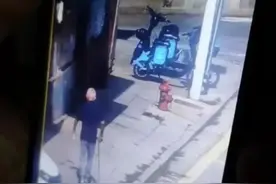汪汪队又立功！老人外出掉落山崖，警犬“刀锋”助力寻回图片