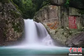 台媒看大陆：浙江温州雁荡山 造型地貌博物馆图片