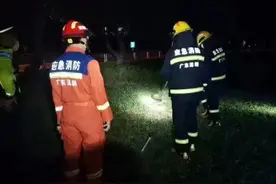 深圳一地惊现2米长大蟒蛇图片