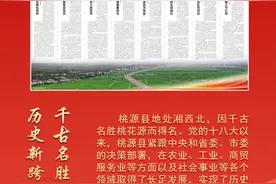 【喜迎二十大】千古名胜地 历史新跨越——桃源县经济社会十年发展扫描图片