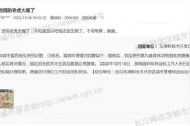 九峰动物园老虎太瘦？武汉东湖高新区：未生病膘情正常图片