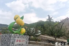 “崮”事新编·这十年｜“粉花金果”漫山，富裕文明村落图片