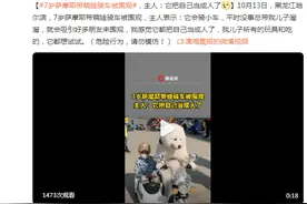 7岁萨摩耶带萌娃骑车被围观，主人：“它把自己当成人了”图片