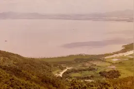 珍贵瞬间！深圳前海原来是这样长大的｜大美广东图片