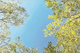 记不住的“仇”图片