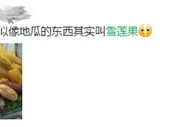 它长得像红薯，却是“人间仙果”！吃了通便顺畅、血糖降，比梨还多汁图片