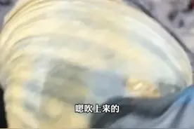 大风又刮来海鲜！这次有人在山东赶海捡到“天鹅蛋”图片