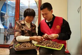 桐庐新合乡，今年的第一批香榧上市啦图片
