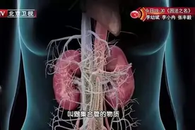 慢性肾病已超1亿人！6大肾脏“杀手”就在你身边！早发现、早治疗，远离肾衰竭图片