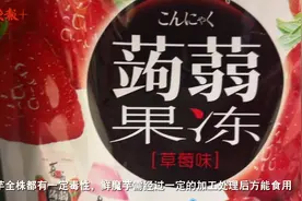 蒟蒻果冻好吃不发胖？专家：蒟蒻也叫魔芋，有望成为食品行业新兴热点图片