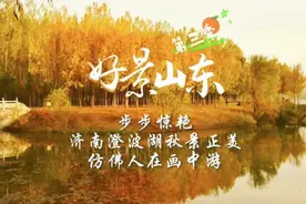 果然视频·好景山东｜步步惊艳！济南澄波湖秋景正美，宛如画中游图片