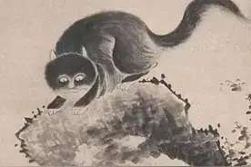 八大山人笔下的猫，是猫之形，虎之神图片