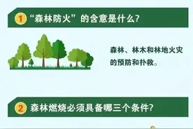 安全知识科普|必知！森林防火攻略图片