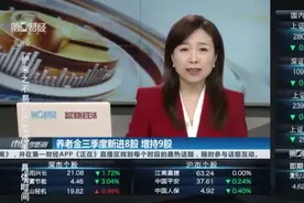 养老金三季度新进8股 增持9股视频封面