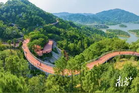 全长约2.5公里，珠海香山云道香山湖至大镜山西入口段开放图片