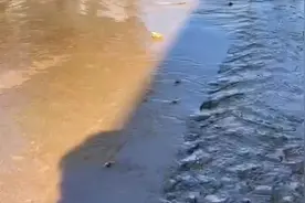 壹点帮办｜淄博一村庄突然出现渗水现象，有村民家积水达四五厘米图片