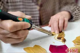 山东菏泽：麦秆成画图片
