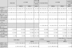 辉丰股份：2022年前三季度亏损6626.25万元图片