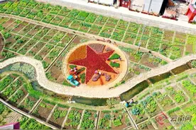 安宁市禄脿街道庄科村：红色治理绘就乡村振兴好前景图片