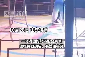 狗熊不配合表演遭棍棒教训后强抱驯兽师，吓跑现场观众图片