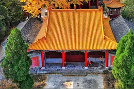 好景山东｜惊艳！济南淌豆寺千年银杏满树金黄，留下秋天最美瞬间图片