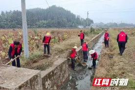 打造“家门口的风景”擦亮“一乡一亮点”图片