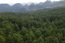 《田园有多美》走进营盘乡特别节目精彩看点图片