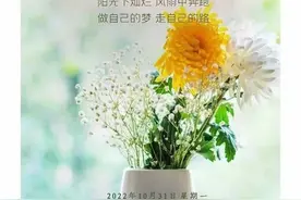 青未了｜我失眠了图片