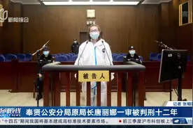 奉贤公安分局原局长唐丽娜一审被判刑十二年视频封面