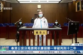 奉贤公安分局原局长唐丽娜一审被判刑十二年视频封面