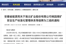 发生事故致1死，淮北矿业桃园煤矿安全生产标准化管理体系等级被降为三级图片