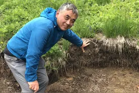 深读报告丨实施黑土地保护工程，还有哪些难点？图片