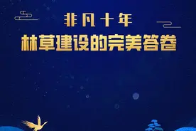 非凡十年 林草建设的完美答卷图片