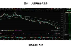 复星国际资产负债分析报告之一：千亿计息负债压顶图片