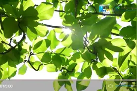 新时代，我在中国｜外籍教授克里斯：在中国有家的感觉图片