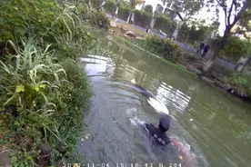 杭州一河道内，女子漂浮水面一动不动，36秒紧急救援图片