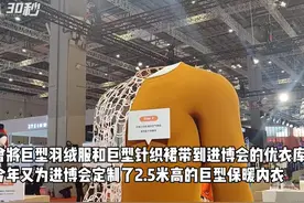 30秒｜2.5米保暖衣现身进博会！优衣库连续三年携巨型展品参展图片