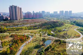 航拍｜合肥植物园风景如画 市民搭帐篷游玩图片