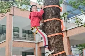 上课，爬树！杭州一所小学体育课，孩子们纷纷上树图片