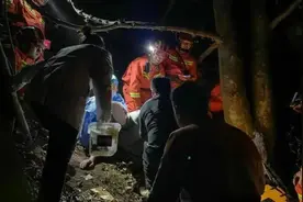 为卖蜂蛹赚钱，三男子捅马蜂窝失败被困树上数小时图片