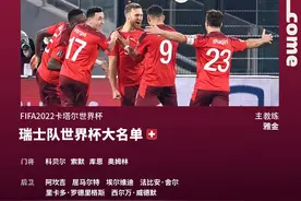 瑞士队公布卡塔尔世界杯26人大名单图片