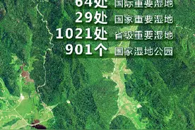 卫星“瞰”湿地，颜值与实力并存图片