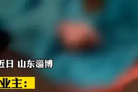 保安在车库里随地大小便，还抹了业主一手“太恶心”图片