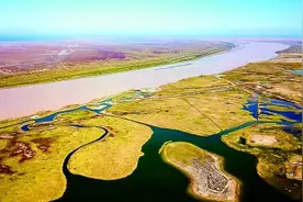 黄河三角洲的蝶变是如何实现的图片