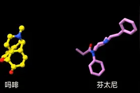 上海科学家首次揭示强效镇痛药芬太尼和吗啡作用机理视频封面