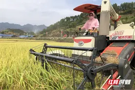 田间泥土自芬芳——“90后”姑娘与土地的故事图片